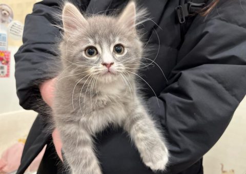 サイべくん♡おめでとう(*´˘`*)♡