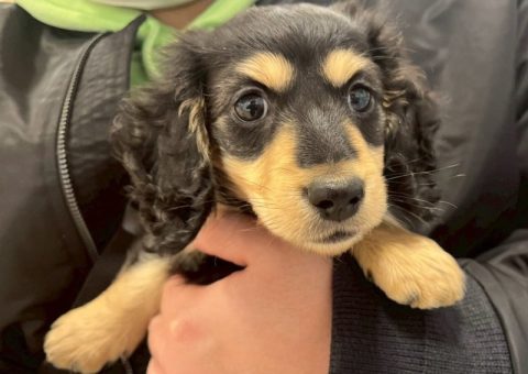 ★☆今日もおめでとう！☆★