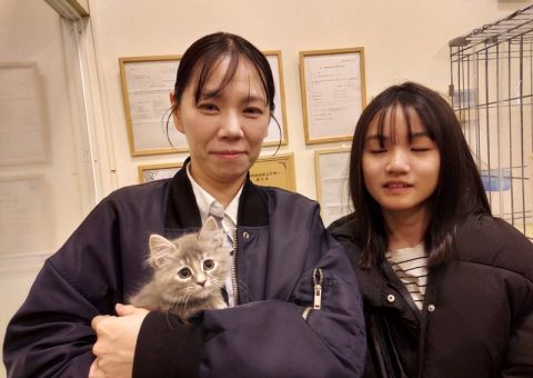 °˖✧congratulation✧˖°