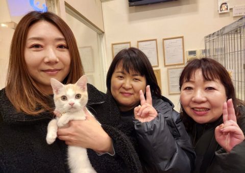 °˖✧congratulation✧˖°