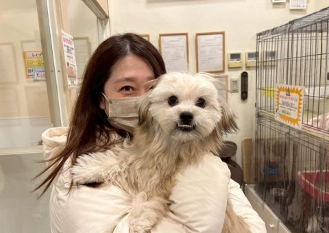 おめでとわんにゃん♡.*･ﾟ