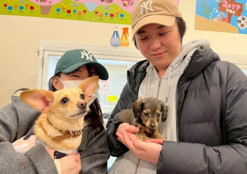 °˖✧congratulation✧˖°