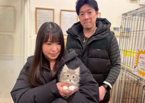 サイノルくん♡おめでとう♡.*･ﾟ