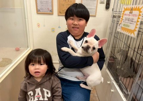 °˖✧congratulation✧˖°